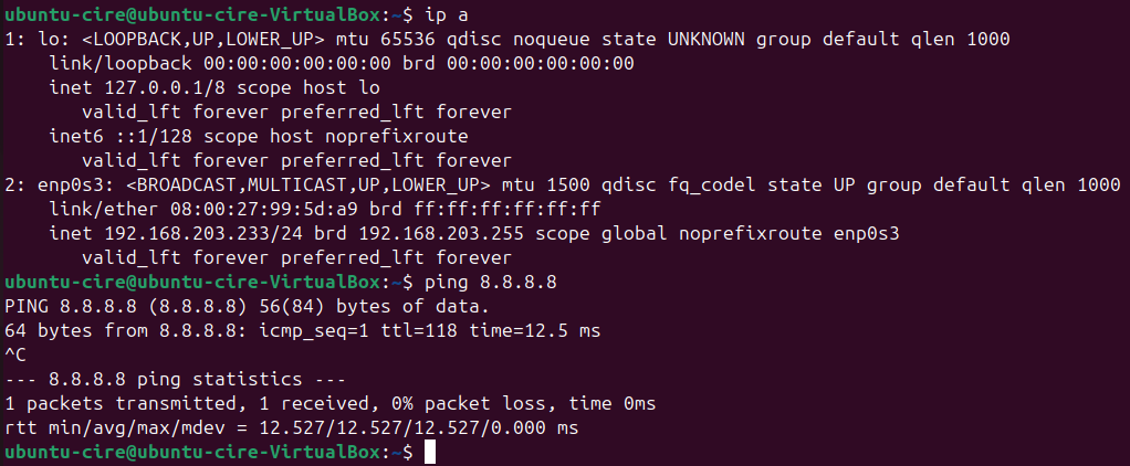 Comprovació Internet 1