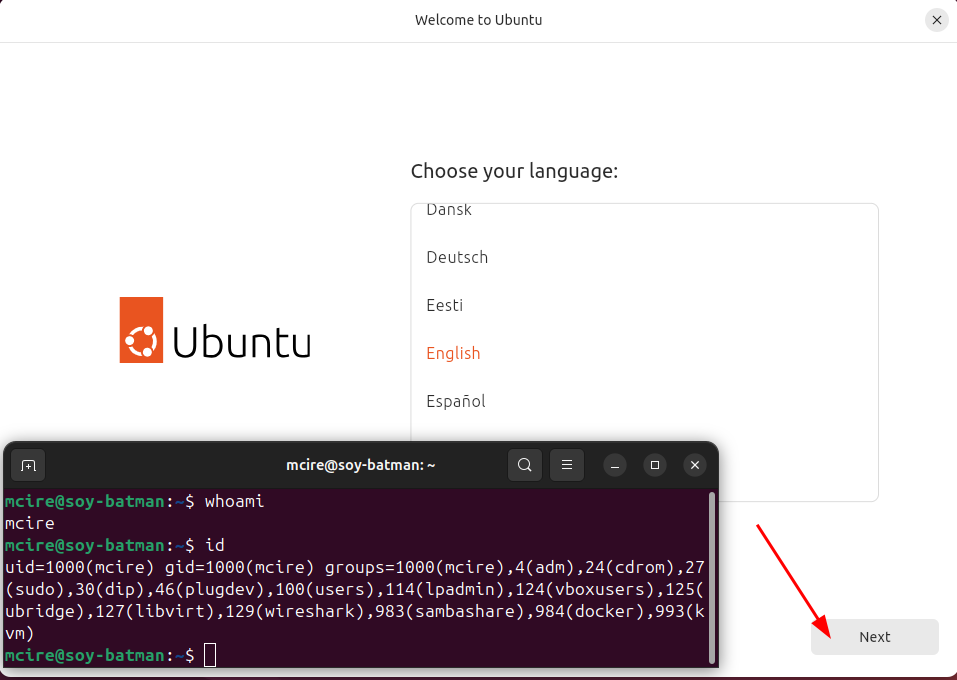 Pantalla llenguatge 1