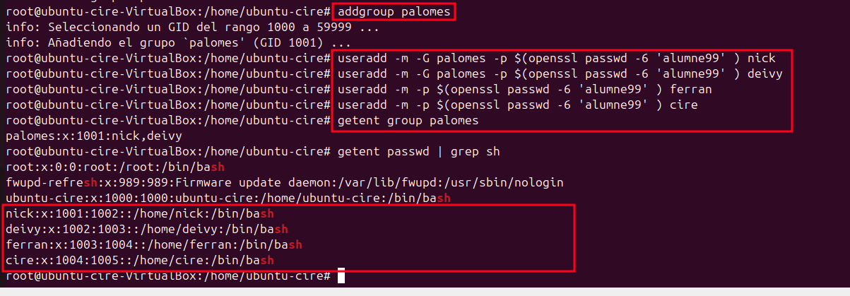 Creació usuaris i grup palomes