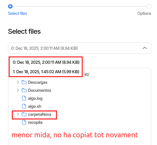 Mostrant les dues copies en Restore