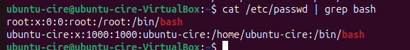 grep bash /etc/passwd