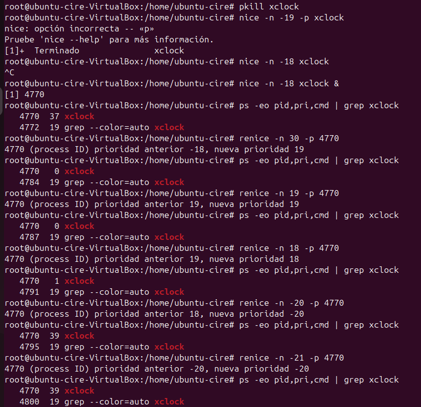 Comprovacions nice i renice