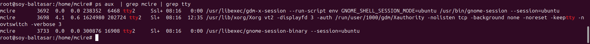 psaux filtrant per usuari per obtenir la terminal