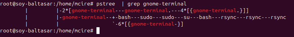 PSTree en root, filtrant per la terminal amb grep