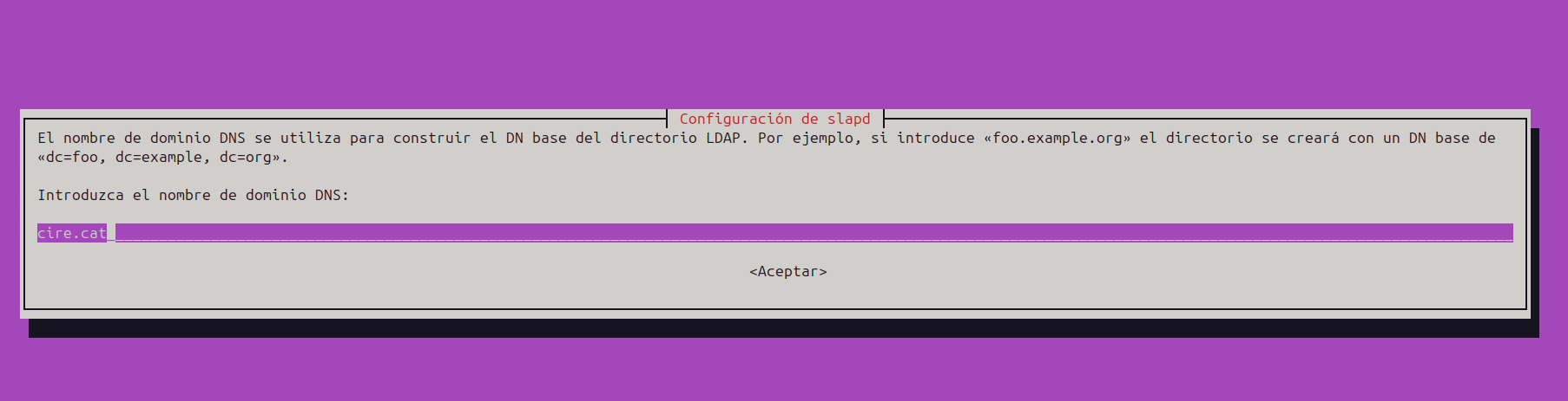Pantalla 2 nom domini cire.cat